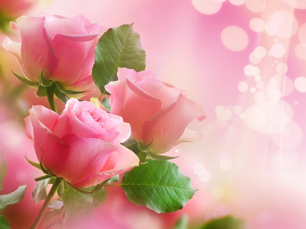 rose (1).jpg